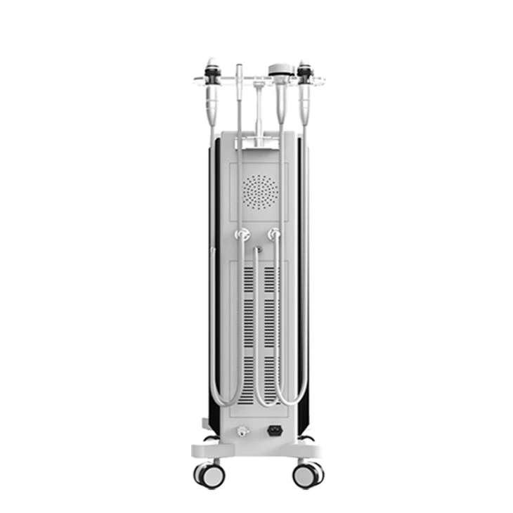 Vertical Fractional Rf Microneedle Scarlet Special Fractional Magic Effect Face Lift