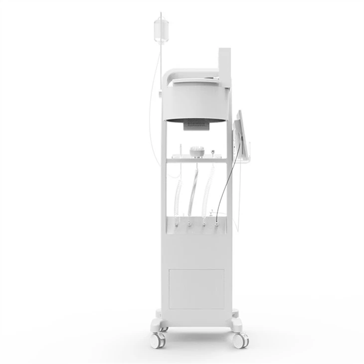 Popular SH650-1 Hair Restoration Machine Low Level Laser Hair Loss Laser Therapy Machine